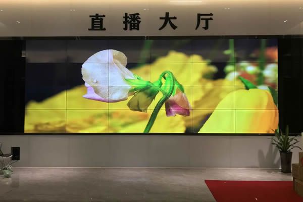 直播大屏用哪種好，直播大屏有哪些