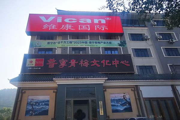 戶外LED廣告進(jìn)入“超高清微間距”時(shí)代：地標(biāo)大屏如何兼顧遠(yuǎn)距離震撼與近距離細(xì)膩